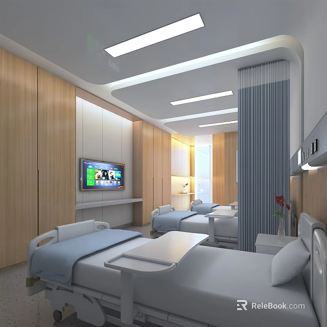 Modern Hospital Room Interior With Wooden Walls TV Curtains And Comfortable Beds 3d model 