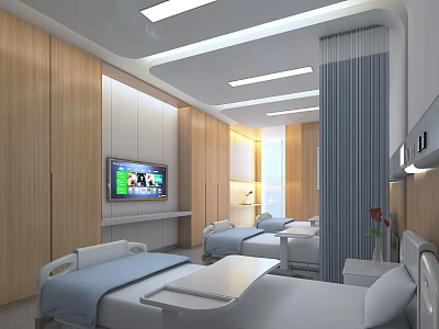 Modern Hospital Room Interior With Wooden Walls TV Curtains And Comfortable Beds 3d model