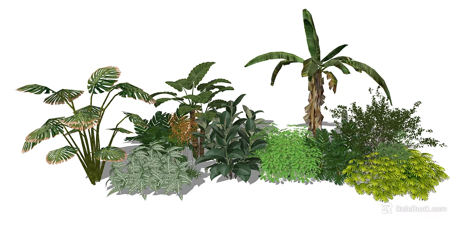 Lush Green Plants Collection With Tropical Leaves And Diverse Foliage Types 3d model 