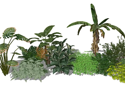 Lush Green Plants Collection With Tropical Leaves And Diverse Foliage Types 3d model