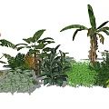 Lush Green Plants Collection With Tropical Leaves And Diverse Foliage Types