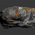 Natural Stone Rock With Orange And Gray Textured Rough Surface 3d model