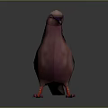 Pink Purple Feathered Pigeon With White Spotted Wings And Red Feet On Gray Gradient Background