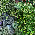 Lush Living Plant Wall With Colorful Flowers Waterfall Feature And Wooden Fence
