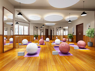 Yoga Fitness Studio Interior With Colored Yoga Balls Mats And Wooden Floors 3d model