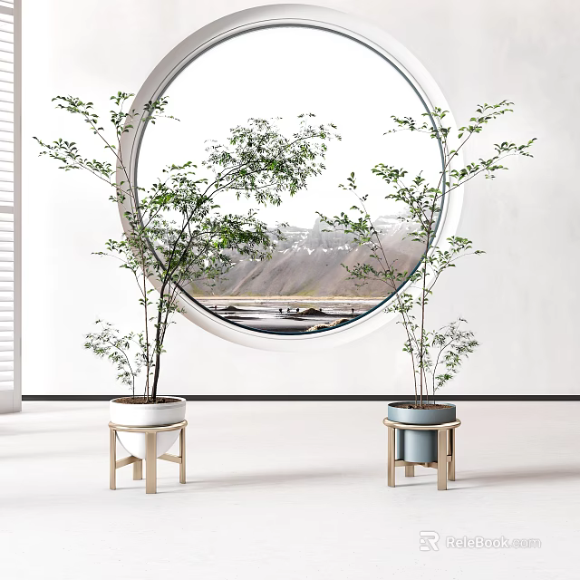 Bonsai Potted Plants In White And Blue Pots On Wooden Stands By Round Window 3d model 