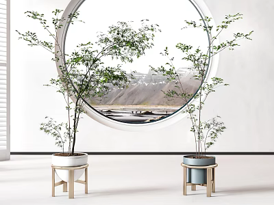 Bonsai Potted Plants In White And Blue Pots On Wooden Stands By Round Window 3d model