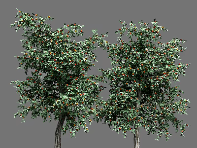 Two Lush Trees With Green Leaves And Red Orange Fruits Foliage 3d model
