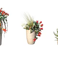 Various Bonsai Potted Plants with Colorful Flowers Green Foliage in Ceramic Pots and Lush Growth