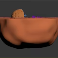 modern eukaryotic cell cross section cell structure cell tissue 3d model
