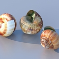 field snail conch bone snail stinging snail 3d model