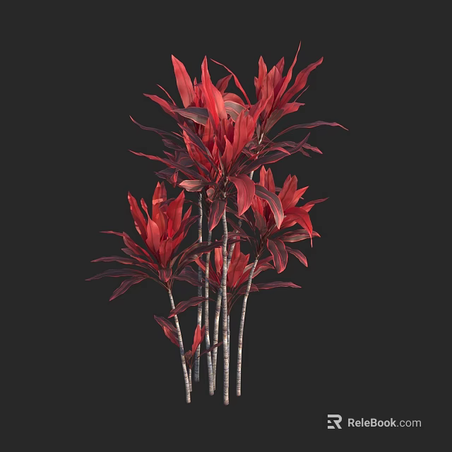 Vibrant Red Leaf Shrub With Slender Stems Against Black Background 3d model