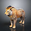 Orange and Black Striped Tiger With Spiked Mane Standing On Dark Reflective Surface