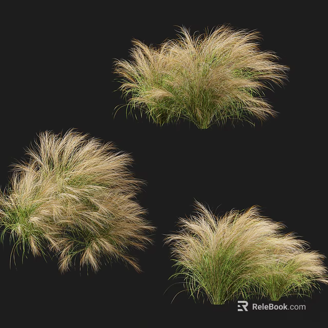 Feathery Ornamental Grass Clumps With Light Brown And Green Foliage For Garden 3d model 