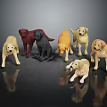 Various Colored Dog Models Displayed In Different Poses On Black Background