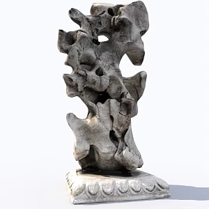 Taihu Stone Scanning Document Lake Stone Chinese New Chinese Realistic 3d model