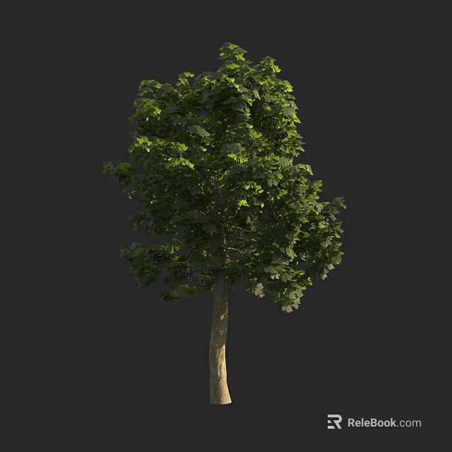Lush Green Arbor With Dense Foliage And Sturdy Trunk In Natural Setting 3d model 