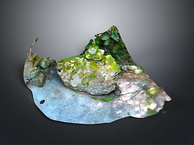 Natural Stone And Wood Decorative Scene With Moss Covered Surface And Water Puddle 3d model