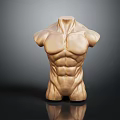 Muscular Male Torso Model Showcasing Defined Chest And Abs Muscles Against Dark Background