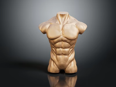 Muscular Male Torso Model Showcasing Defined Chest And Abs Muscles Against Dark Background 3d model