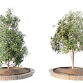 Circular Brick Tree Planter With Green Leafy Trees For Outdoor Landscaping