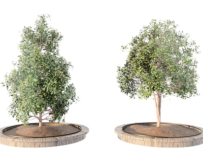 Circular Brick Tree Planter With Green Leafy Trees For Outdoor Landscaping 3d model