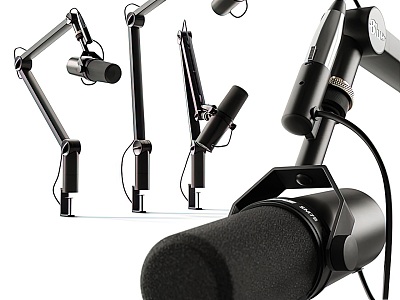 Modern microphone professional rotatable adjustable microphone combination recording microphone equipment music equipment combination model