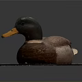Brown Duck with Yellow Beak and Black Head on Wooden Board against Gray Background
