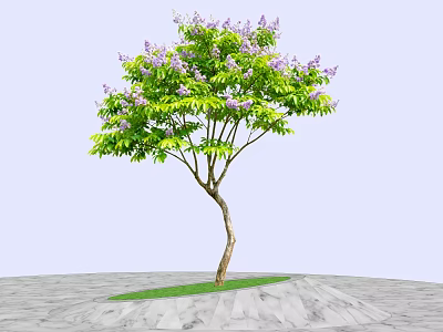 Arbor With Slender Trunk Purple Flowers And Green Leaves On Grass And Stone Pavement 3d model