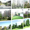 Serene Residential Community With High Rise Buildings Green Lawns And Trees