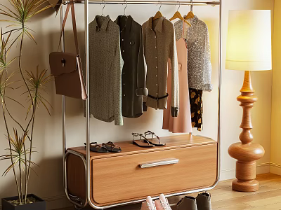 Clothes Rack With Hanging Clothes Wooden Cabinet Shoes On Top Floor Lamp And Potted Plant 3d model