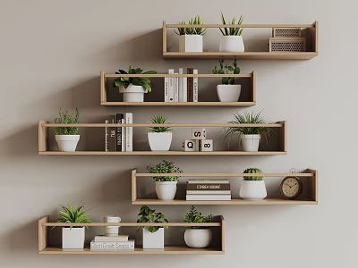 Bonsai Potted Plants Displayed on Wooden Shelves with Books and Decorative Items 3d model