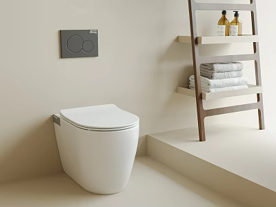 Modern White Smart Toilet With Wall Control Panel And Wooden Ladder Shelf In Bathroom 3d model