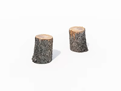 Natural Wooden Tree Stumps With Smooth Cut Surfaces And Bark Texture 3d model