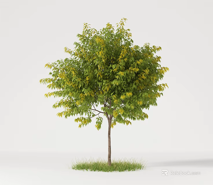 Lush Green Tree With Dense Foliage And Strong Trunk In Grass Area 3d model 