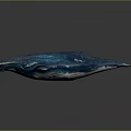 3D Rendered Blue Aquatic Animal Whale With Shiny Reflective Surface On Dark Background
