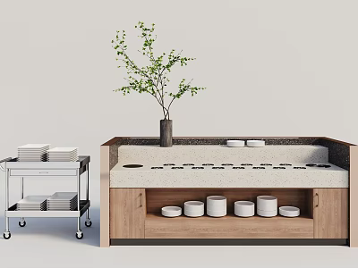 Wooden Counter Cabinet With Potted Plant Metal Cart White Plates And Jars Setup 3d model