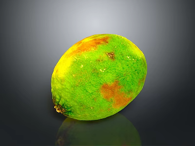 orange fruit mandarin orange fruit 3d model