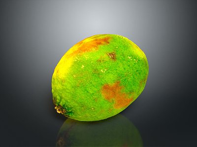 orange fruit mandarin orange fruit 3d model