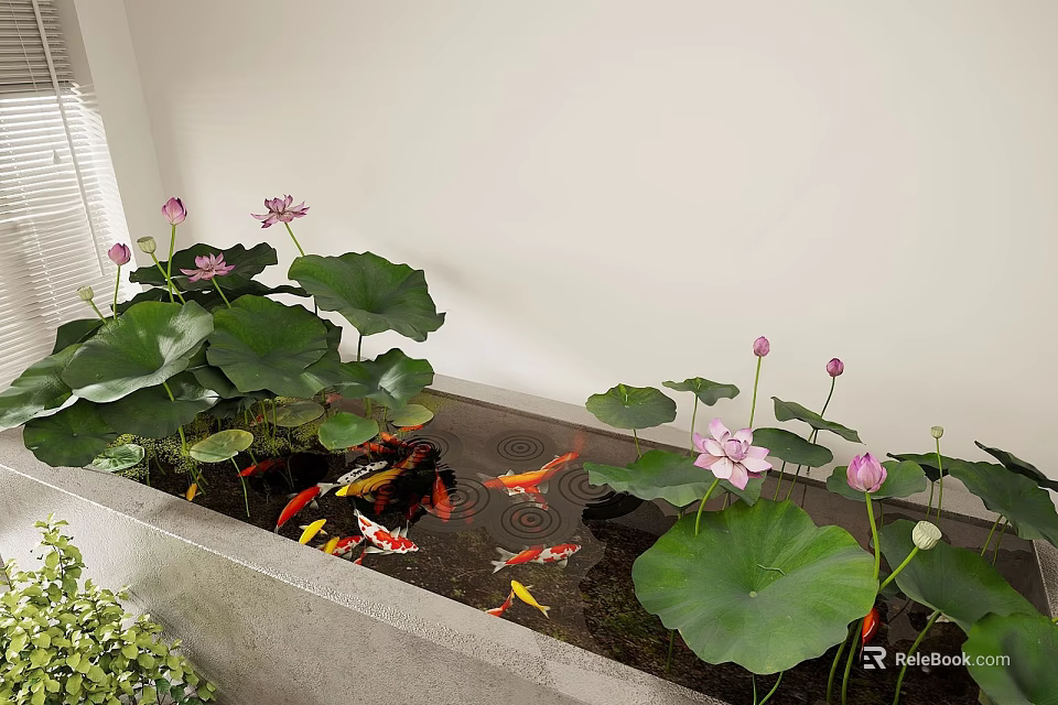 Aquatic Plants Lotus In Indoor Pond With Koi Fish 3d model 