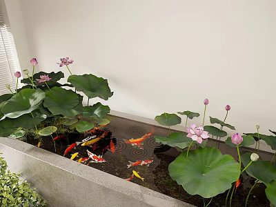 Aquatic Plants Lotus In Indoor Pond With Koi Fish 3d model