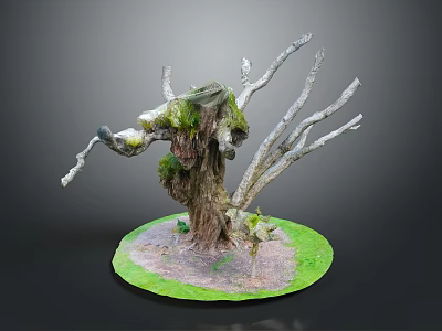 Old Tree Stump With Green Moss And Dry Branches On Grass Base 3d model