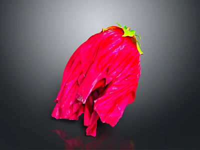 Vibrant Red Flower With Wrinkled Petals Green Calyx And Yellow Parts On Dark Background 3d model