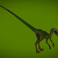 Bird-like Dragon Hunting Dragon Velociraptor Chinese Dragon Bird Microraptor Dinosaur Jurassic Low Face Number Low Model Simple Model Game Movie Level Super Realistic 3d model