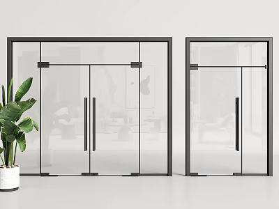 Modern Glass Doors With Black Frames And Green Plant In Interior 3d model