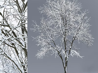 Winter Themed Decorative Ornament Set With Snow Covered Tree Branches 3d model