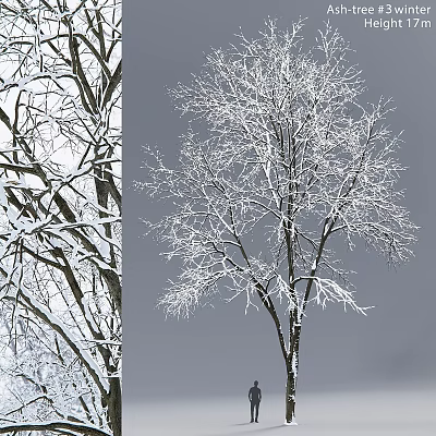 Winter Themed Decorative Ornament Set With Snow Covered Tree Branches 3d model