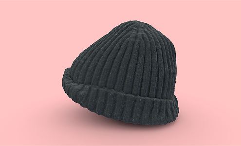 Modern Hat Knitted Wool Hat 3d model