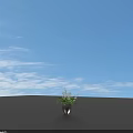 Decorative Bonsai Potted Plant With White Flowers And Long Green Leaves In Dark Pot