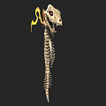 Mythical Skeleton Dragon Weapon With Flaming Tail And Sharp Teeth